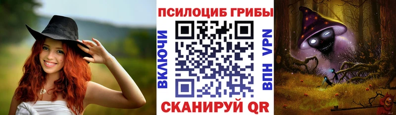 Псилоцибиновые грибы Psilocybe  blacksprut ONION  Кулебаки  где купить наркоту 