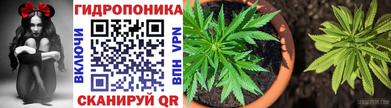 Канабис семена Кулебаки